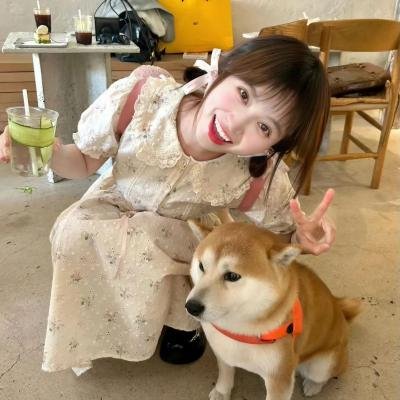 逆流而上的你