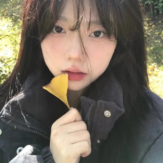 紫檀巷